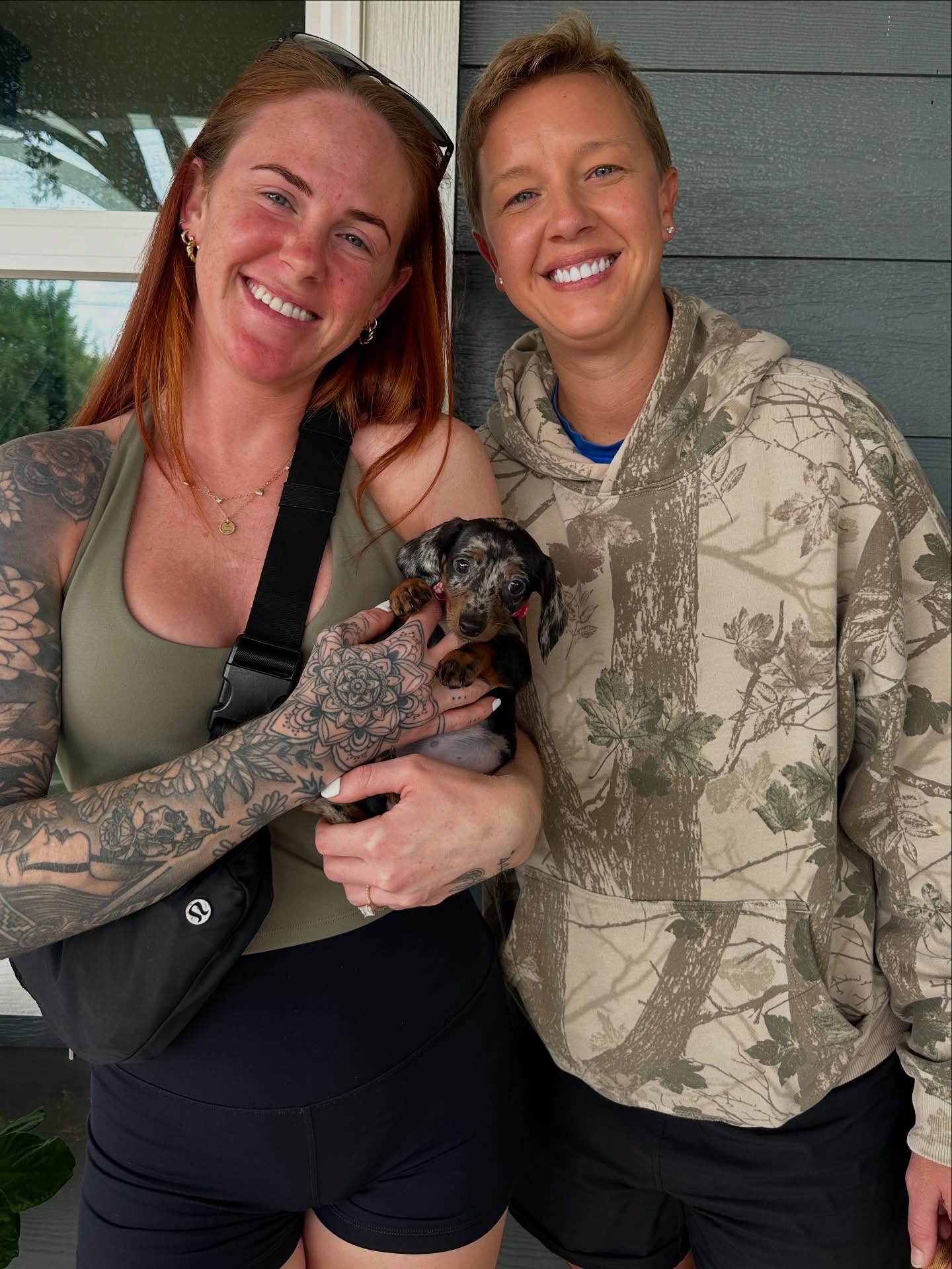 dachshund puppies for sale near me