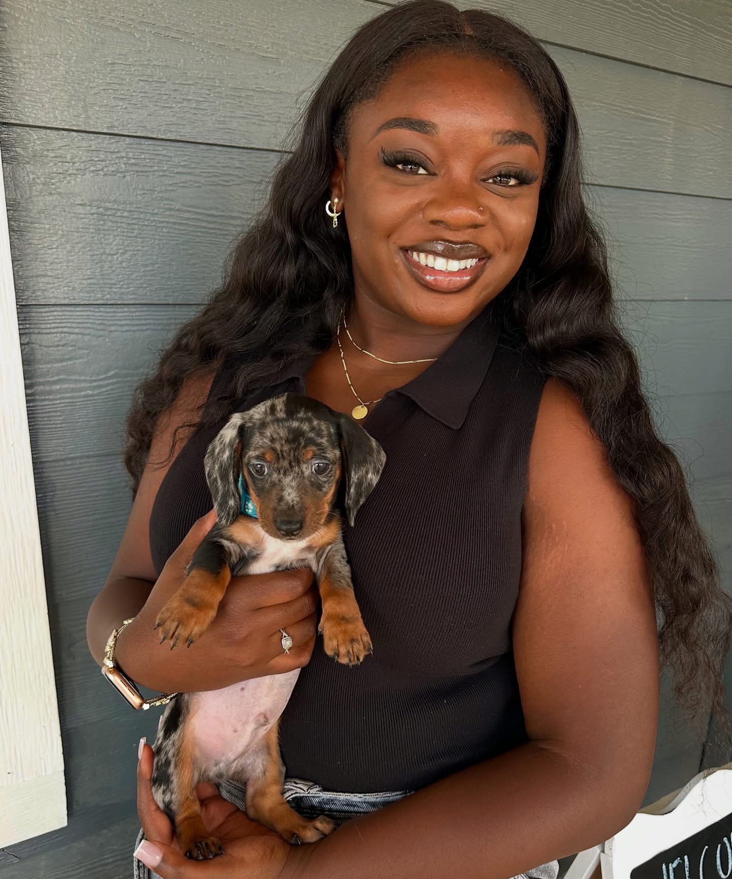 mini dachshund puppies