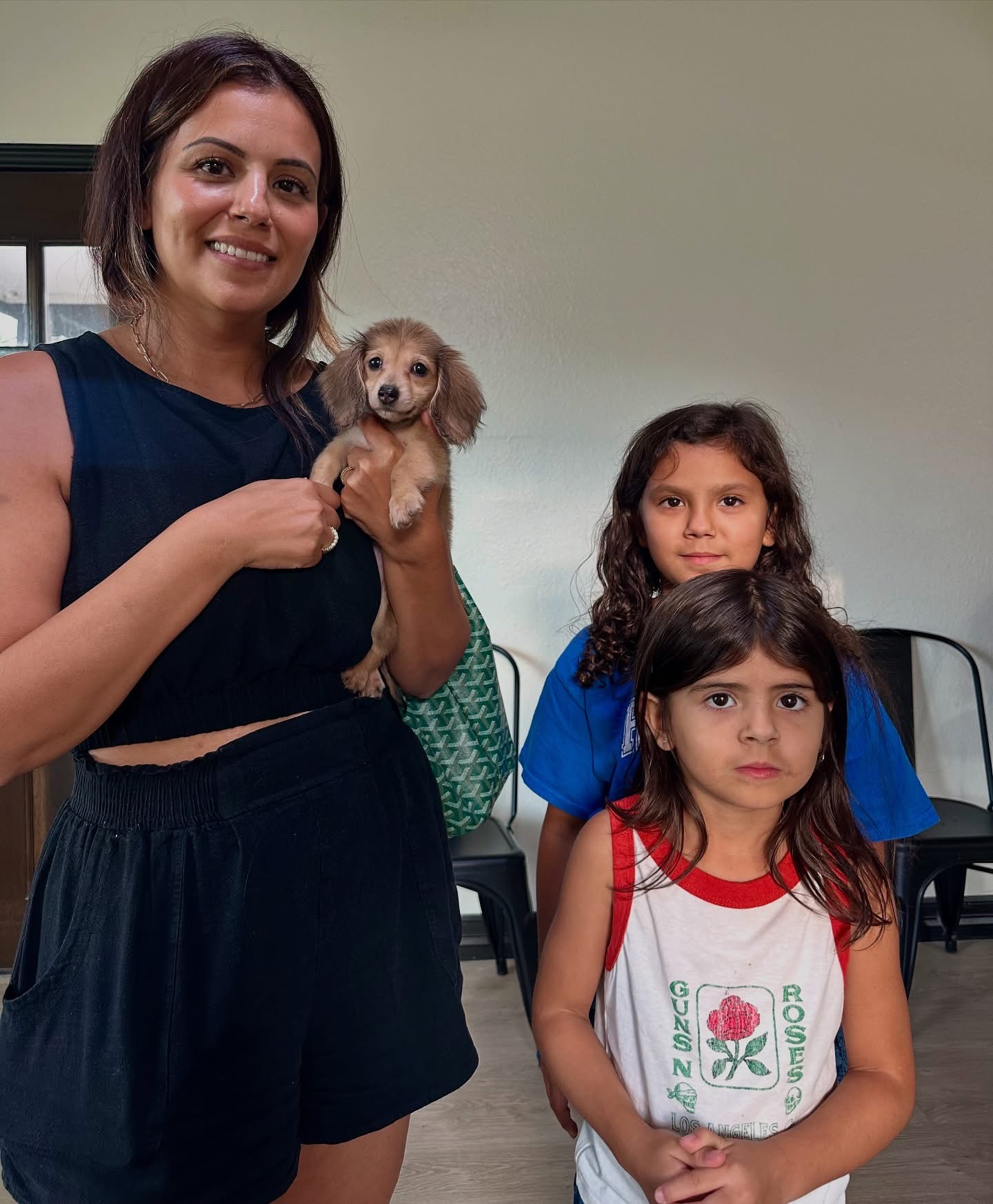 mini dapple dachshund puppies for sale