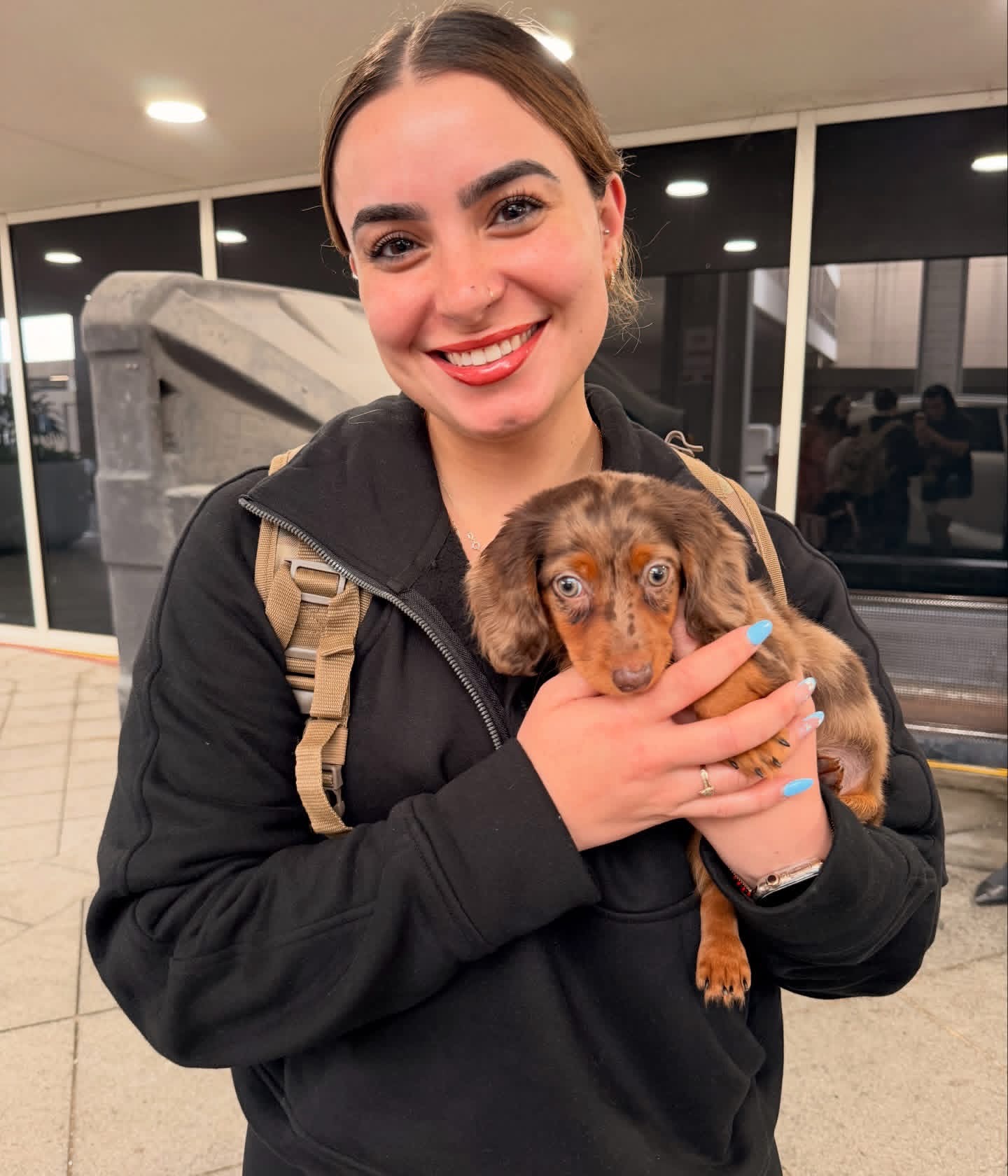 dachshund puppies for sale near me