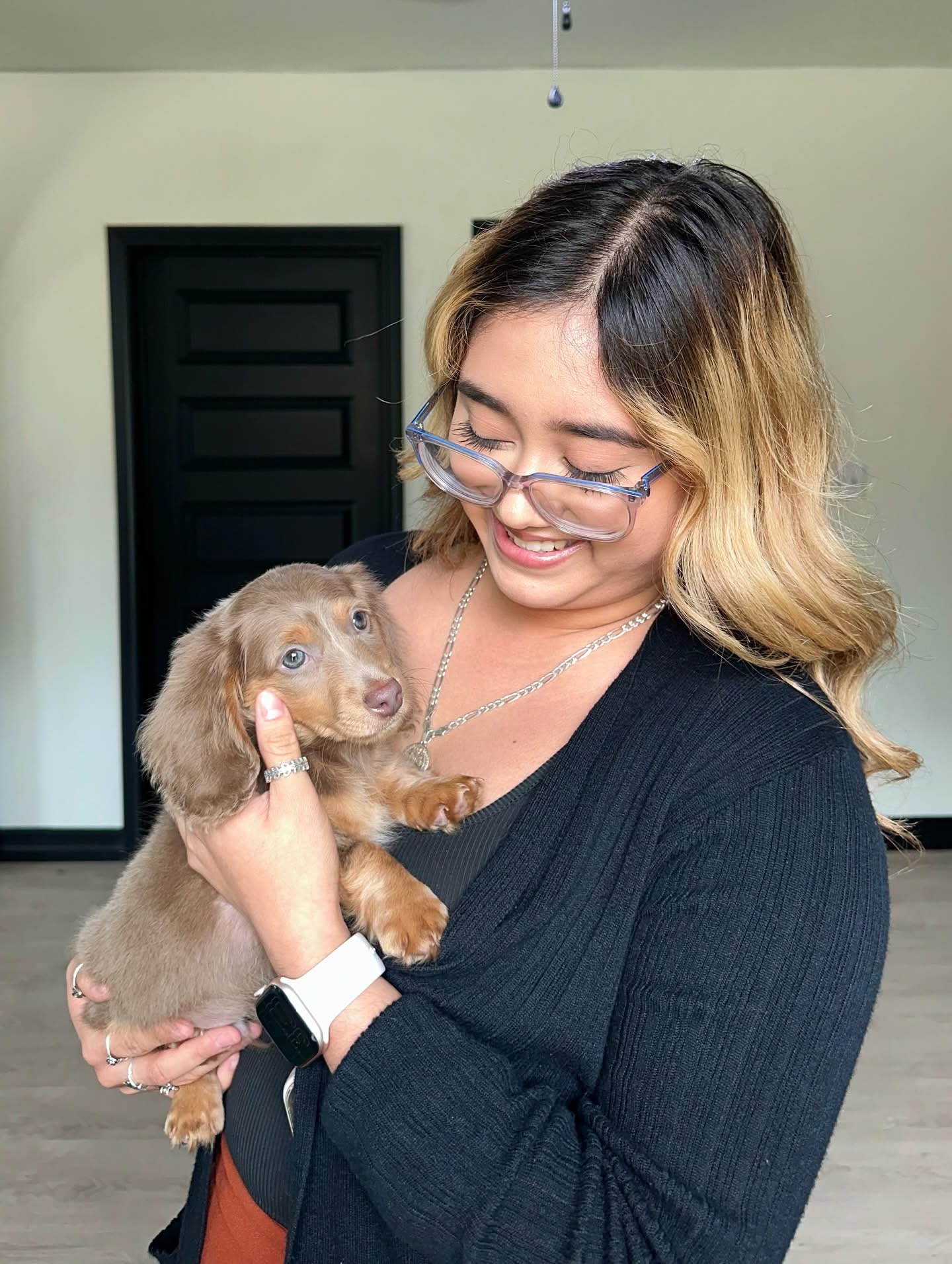 wiener puppies for sale