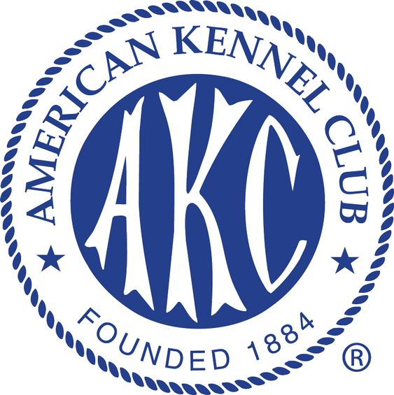 akc certified puppies